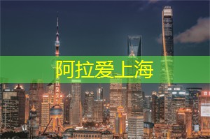 投身上海的志愿者活动与公益